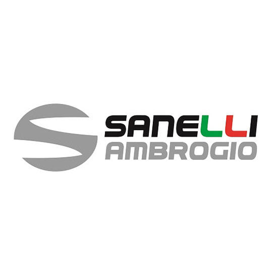 SANELLI AMBROGIO
