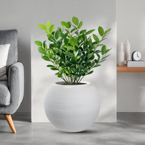 DIVINA GARDEN Vaso in Resina da Esterno Interno per Piante Tondo a Sfera di Design d.40x33h Botticelli Bianco