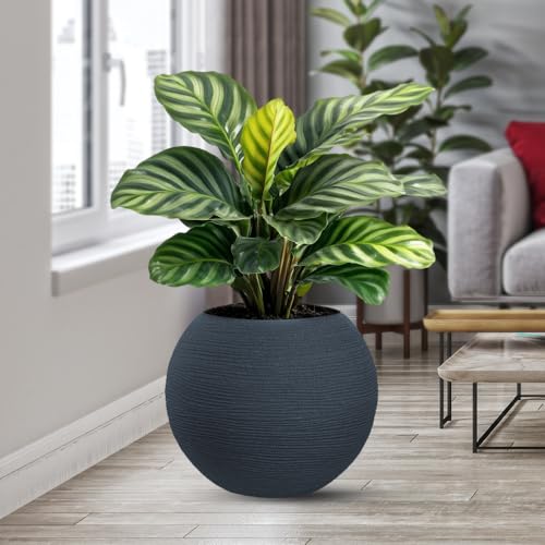 DIVINA GARDEN Vaso in resina da esterno interno per piante tondo a sfera di design d.40x33h Botticelli Grigio