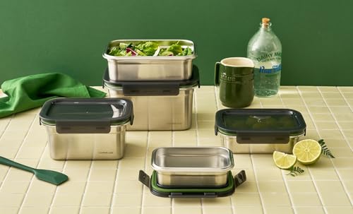 LocknLock 2 Contenitori per Alimenti in Acciaio Inossidabile, Rettangolare 500ml, Contenitore Ermetico con Coperchio, Adatto per Microonde e Lavastoviglie, 14,6 x 10,7 x 6,8 cm, Argento