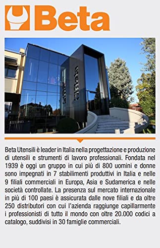 Beta 11204A - Dischi abrasivi lamellari per smerigliatrici con tela abrasiva allo zirconio, 10 unità, diametro 115 mm, spessore 40 mm e foro da 22, 23 mm