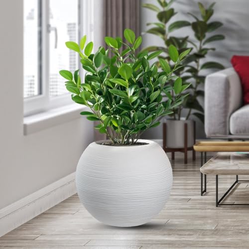 DIVINA GARDEN Vaso in Resina da Esterno Interno per Piante Tondo a Sfera di Design d.40x33h Botticelli Bianco