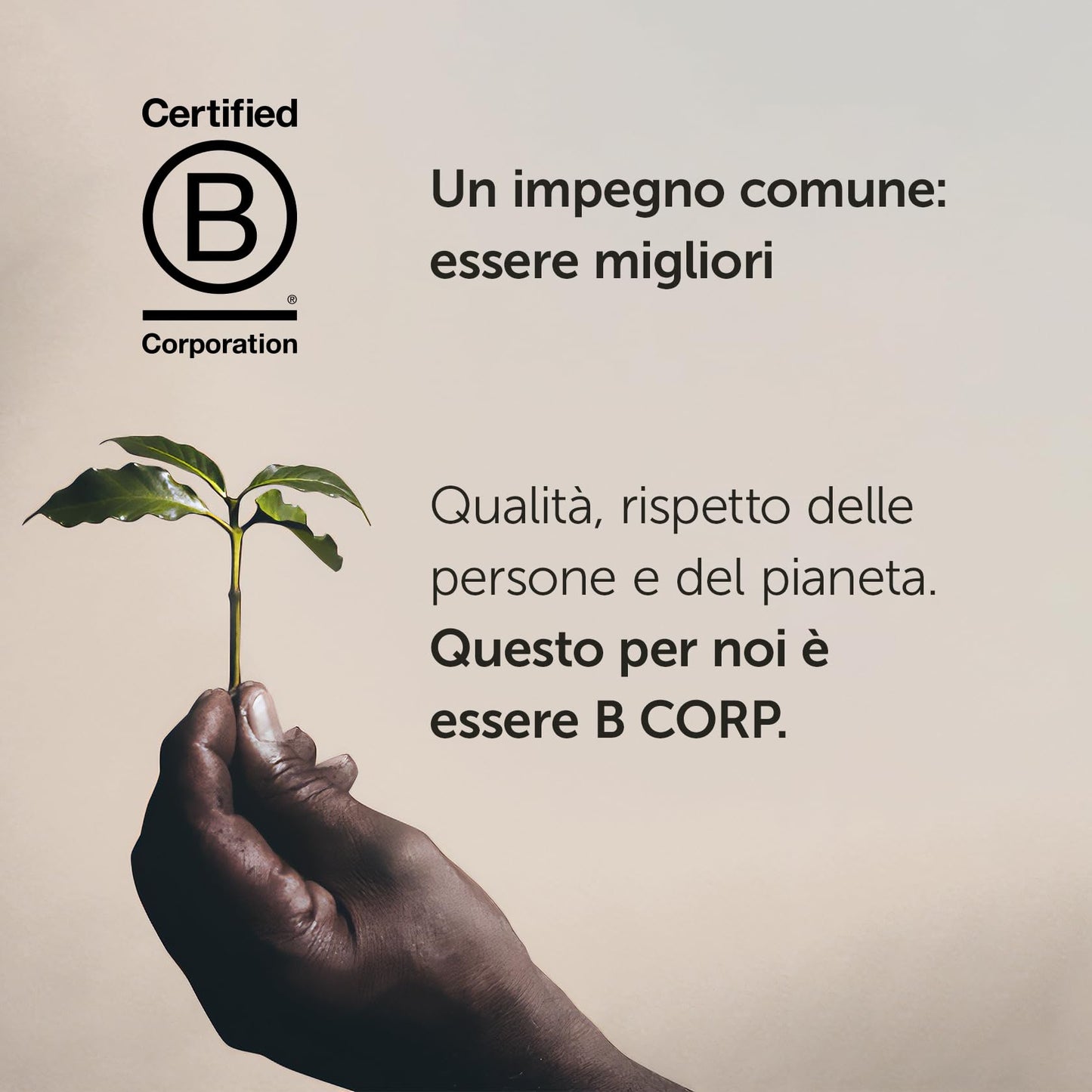 ILLY 108 Caffè in Capsule Iperespresso Arabica Selection Costa Rica, 100% Arabica con Note di Caramello, Cioccolato e Vaniglia, Gusto Dolce, 6 Confezioni da 18