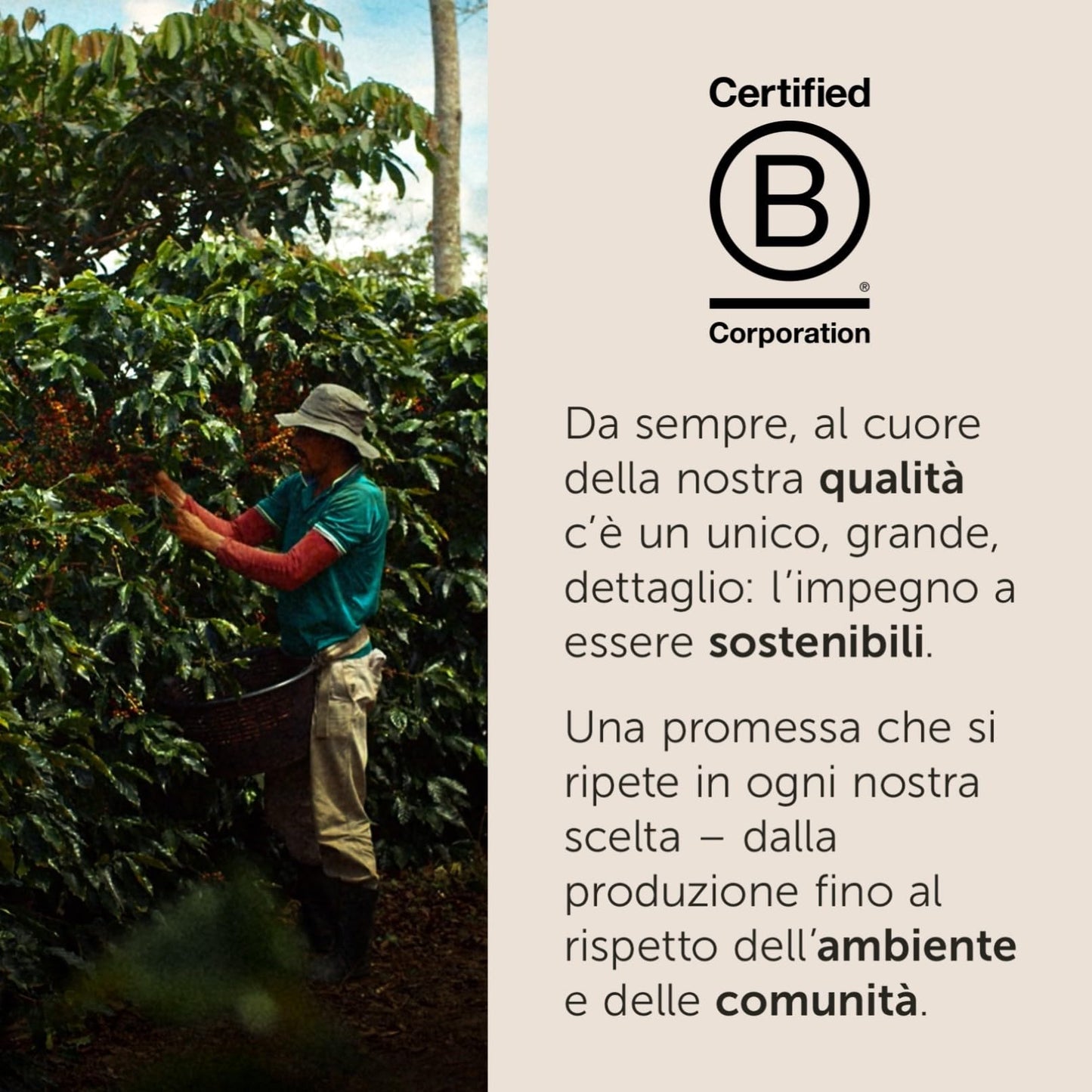 illy Capsule Caffè Iperespresso Arabica Selection Brasile, 6 Confezioni da 18 Capsule, Totale 108 Capsule