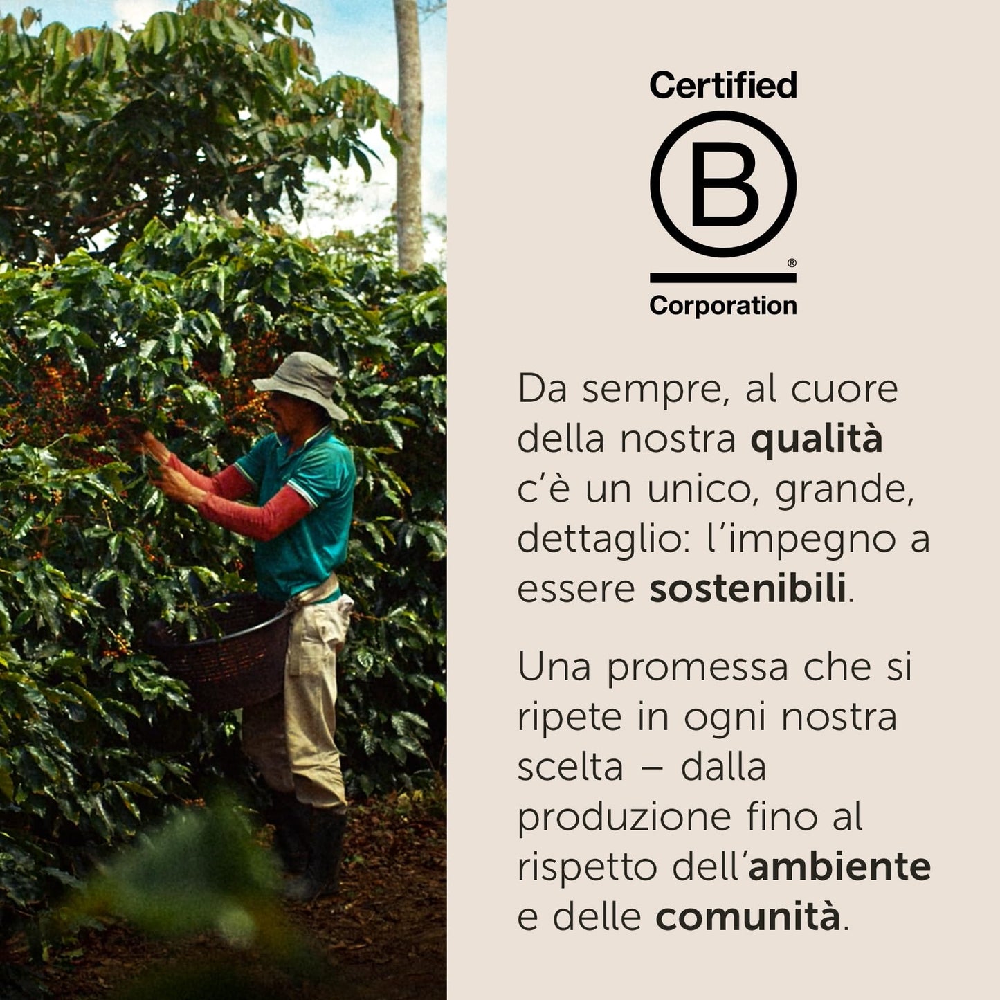 illy, Caffè in Capsule Iperespresso FORTE, 100% Arabica con Intenso Aroma di Pan Tostato e un Retrogusto di Cioccolato Fondente, Gusto Deciso, 6 Confezioni da 18 (108 Capsule Totali)