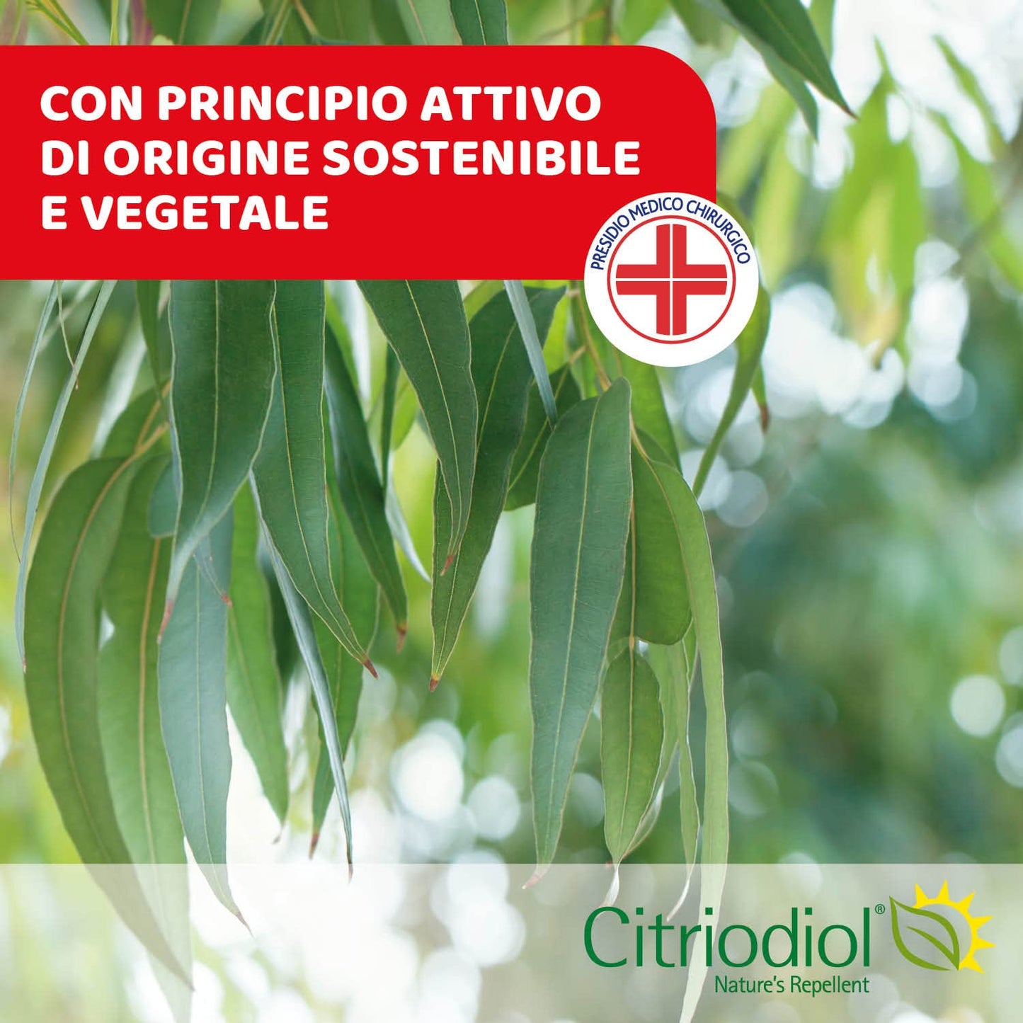CHICCO Spray Insetto Repellente, 3 anni +, Protezione dalle Zanzare, Presidio Medico Chirurgico, Zanzara Comune, Zanzara Tigre e Zecche