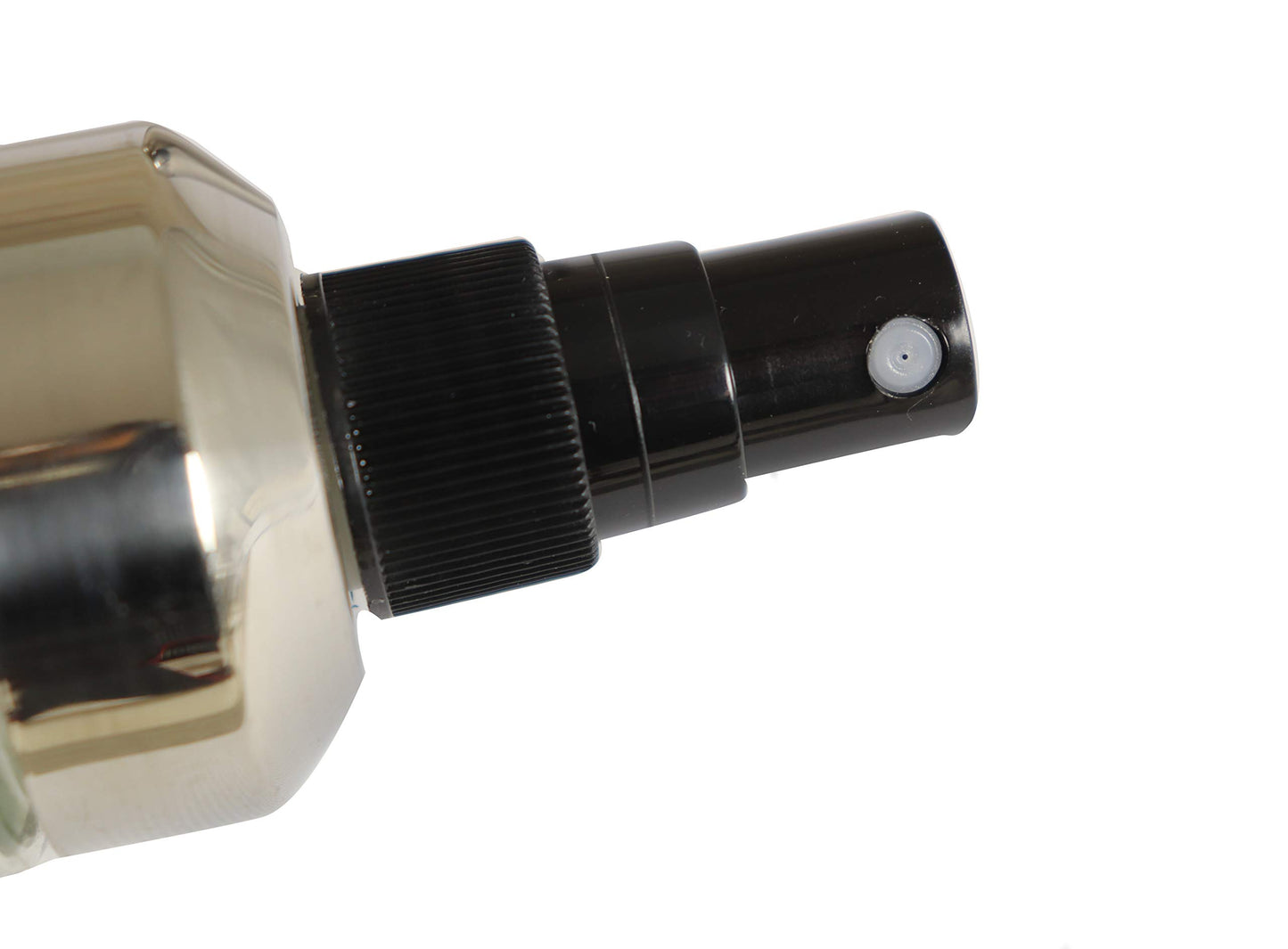 Fackelmann Oliera Trasparente a Spruzzo, Acciaio Inox, Argento, 200 ml