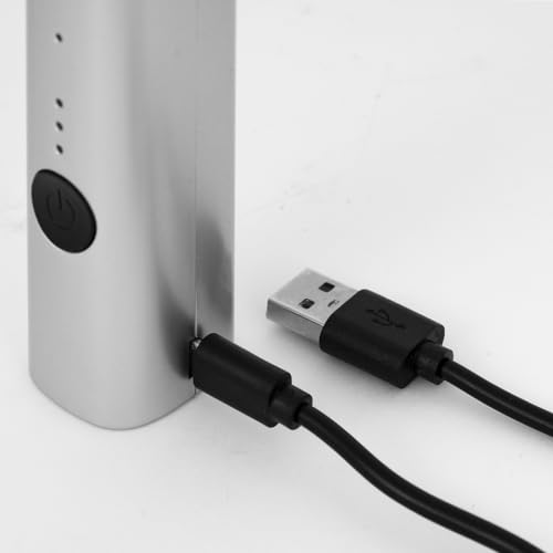 Bialetti Whipper, Regolabile su 3 Livelli, Doppia Frusta, Ricarica USB, Acciaio Inossidabile
