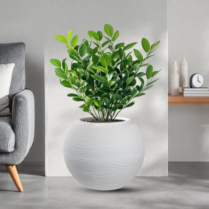 DIVINA GARDEN Vaso in Resina da Esterno Interno per Piante Tondo a Sfera di Design d.40x33h Botticelli Bianco