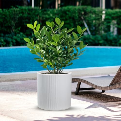 DIVINA GARDEN Vaso in Resina da Esterno Interno per Piante Tondo cilindrico di Design d.36x35h Modigliani Bianco