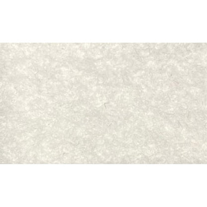 DIVINA HOME Tappeto Moquette Guida passatoia per Interno Esterno Bianca H 1 x 30 mt