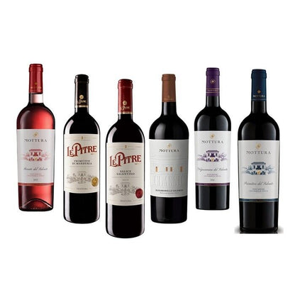 MOTTURA Selezione Vini Pugliesi 6 Bottiglie Primitivo Manduria Negroamaro Salento
