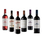 MOTTURA Selezione Vini Pugliesi 6 Bottiglie Primitivo Manduria Negroamaro Salento