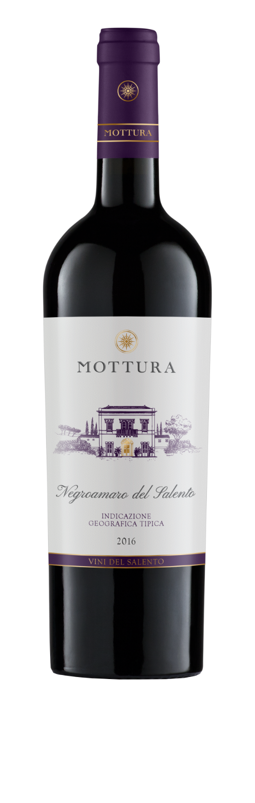 MOTTURA Selezione Vini Pugliesi 6 Bottiglie Primitivo Manduria Negroamaro Salento