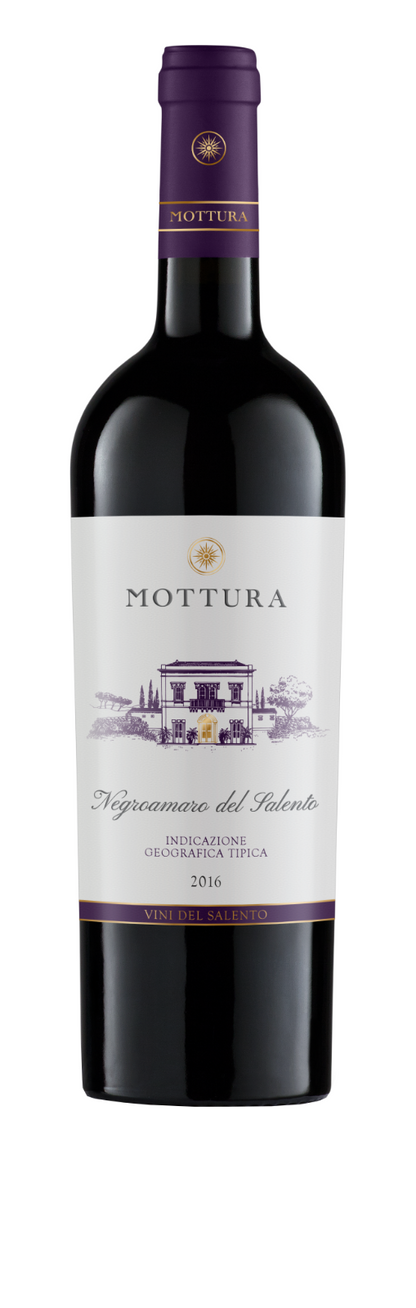 MOTTURA Selezione Vini Pugliesi 6 Bottiglie Primitivo Manduria Negroamaro Salento