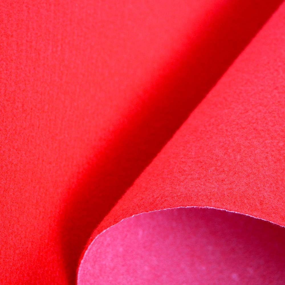 DIVINA HOME Tappeto Moquette Guida passatoia per Interno Esterno Rossa H 1 x 30 mt