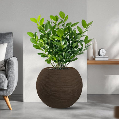 DIVINA GARDEN Vaso in Resina da Esterno Interno per Piante Tondo a Sfera di Design d.40x33h Botticelli Marrone