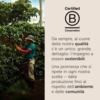 illy Capsule Caffè Iperespresso Arabica Selection Brasile, 6 Confezioni da 18 Capsule, Totale 108 Capsule