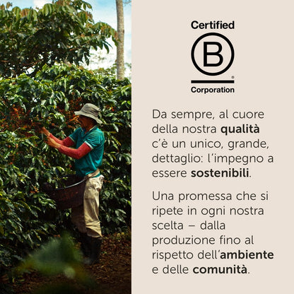 illy, Caffè in Capsule Iperespresso FORTE, 100% Arabica con Intenso Aroma di Pan Tostato e un Retrogusto di Cioccolato Fondente, Gusto Deciso, 6 Confezioni da 18 (108 Capsule Totali)
