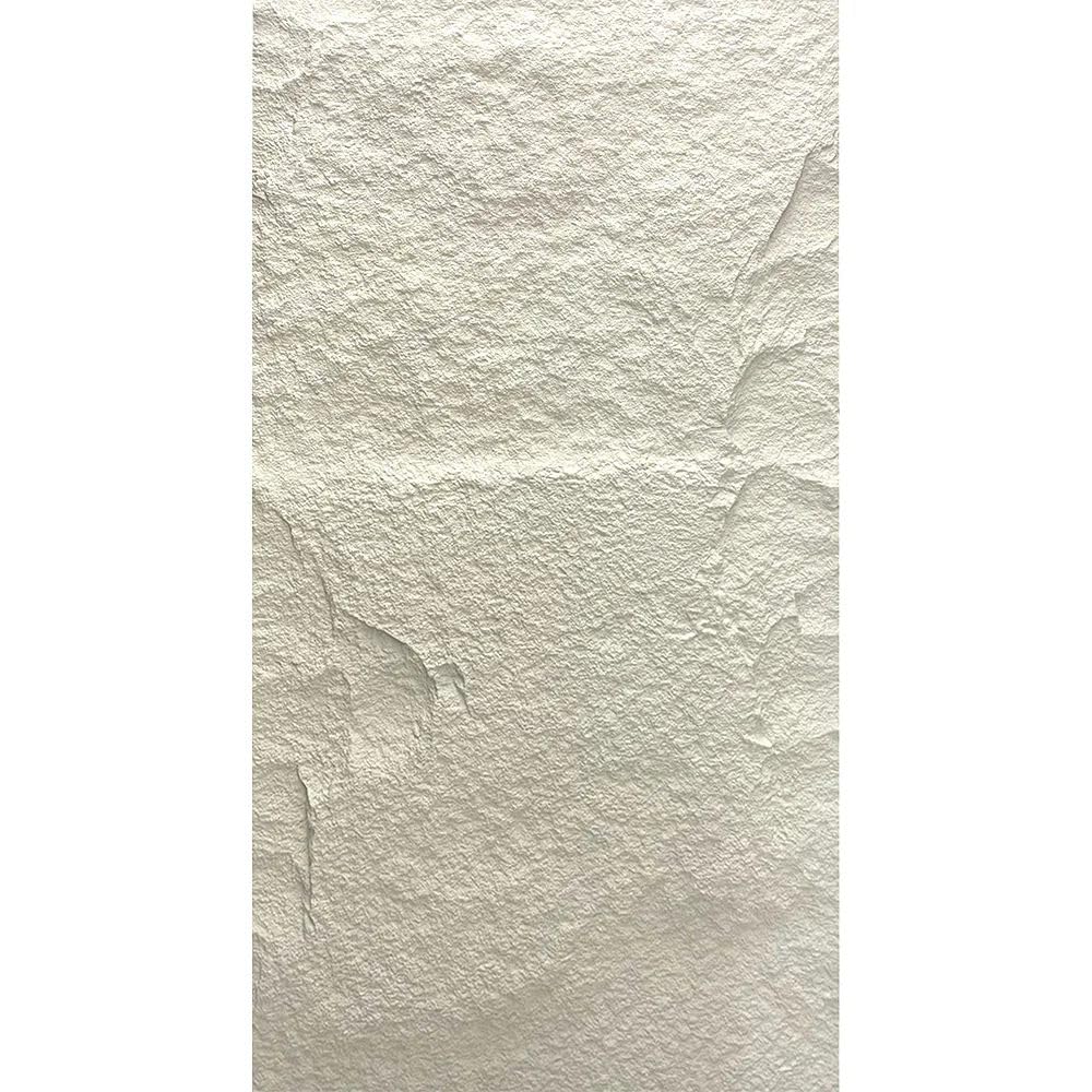 DIVINA HOME, Pannello Decorativo 3D Effetto Roccia, Bianco Leccese, Set 10 Pezzi, PU, 120 x 60 x 3 cm, Copertura 7,2 m², Peso 16 kg