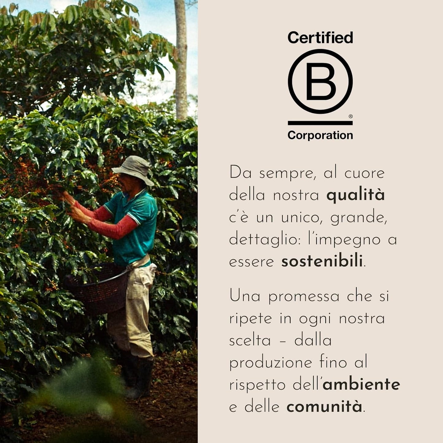 illy, Caffè in Capsule Iperespresso Arabica Selection Etiopia, 100% Arabica con Note di Gelsomino, Fiori d'Arancio e Camomilla, Gusto Delicato, 6 Confezioni da 18 (108 Capsule Totali)