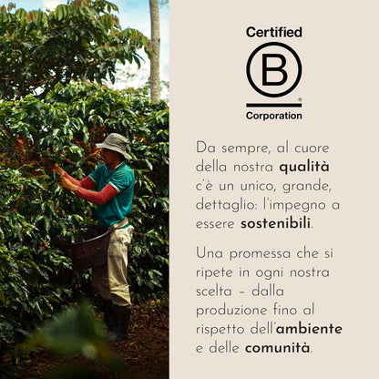 illy, Caffè in Capsule Iperespresso Arabica Selection Etiopia, 100% Arabica con Note di Gelsomino, Fiori d'Arancio e Camomilla, Gusto Delicato, 6 Confezioni da 18 (108 Capsule Totali)