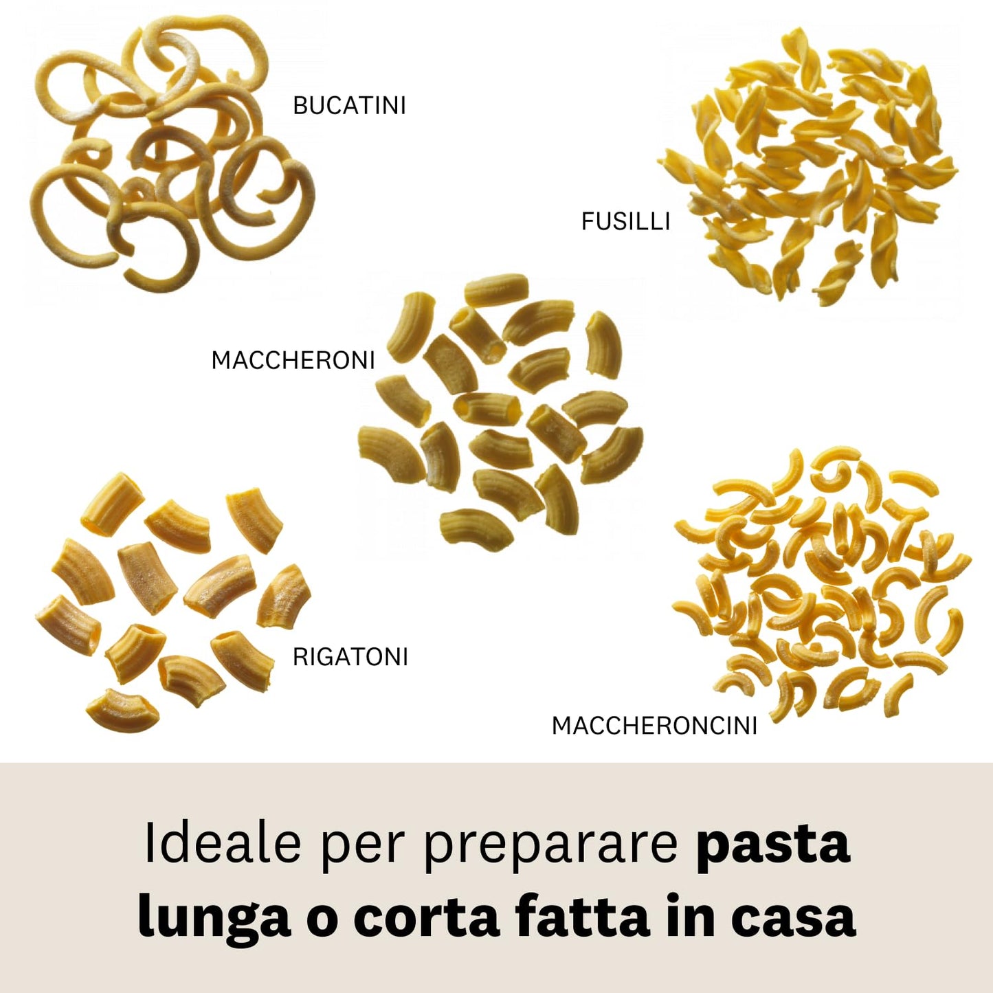 Marcato Macchina per la Pasta, Pasta Maker, Trafila per Pasta Fresca, Manuale, 5 Trafile Incluse, per Bucatini, Fusilli, Maccheroni, Maccheroncini, Rigatoni, Made in Italy. Modello: Regina