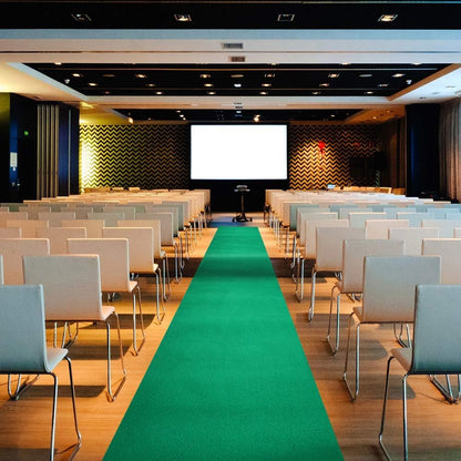 DIVINA HOME Tappeto Moquette Guida passatoia per Interno Esterno Verde H 1 x 30 mt